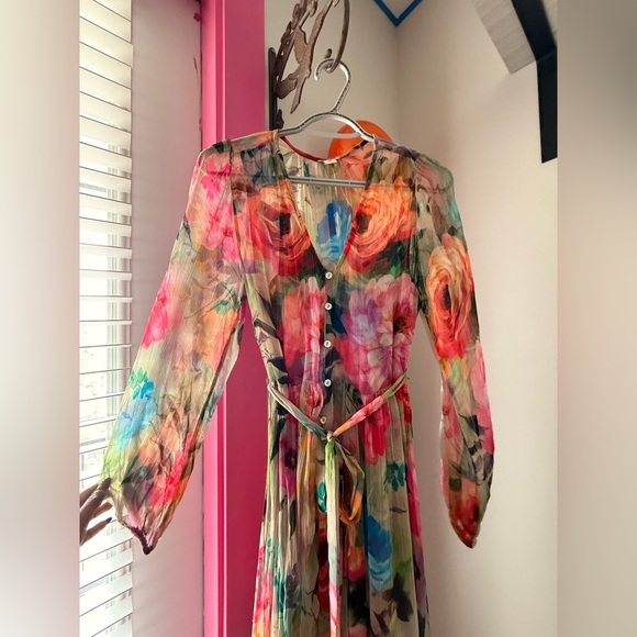 Sundance Multicolor Sheer Dress - Picture 3 of 10